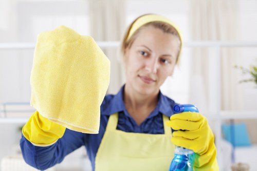 Secure Crystalpalace Carpet Cleaners payment area with SSL protection
