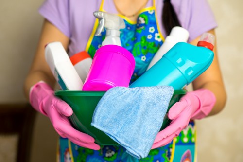 Professional curtain cleaning in Crystalpalace home interior