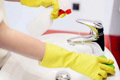 Professional pet stain removal on upholstery in Crystalpalace