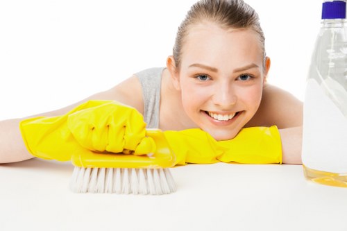 Discussing a carpet cleaning issue as part of a formal review process