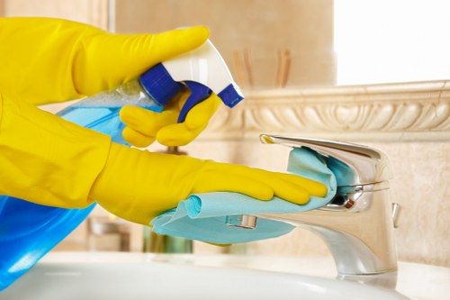 Carpet odour neutralisation after pet accident in Crystalpalace