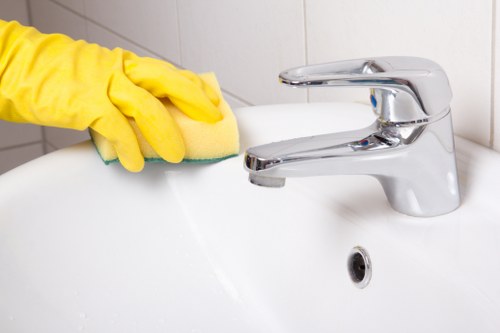 Deep carpet cleaning service in Crystalpalace removing stains