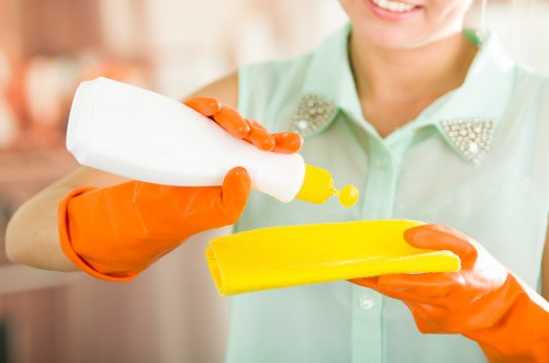 Steam carpet cleaning equipment refreshing a carpet in Crystalpalace