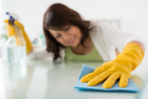 Cleaner restoring a living room sofa during upholstery cleaning in Crystalpalace