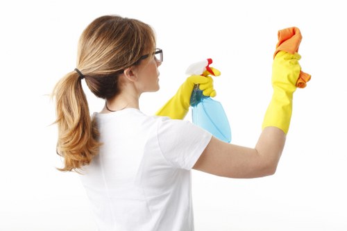 Removing stains during sofa cleaning in Crystalpalace