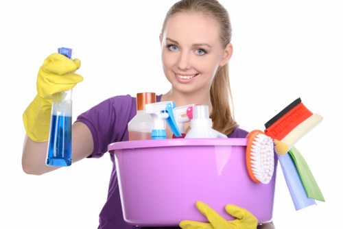 Professional hot water extraction cleaning a carpet in Crystalpalace