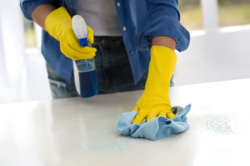 Inclusive website experience for Crystal Palace carpet cleaning visitors
