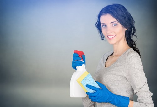 Accessibility support notice for Crystal Palace carpet cleaners