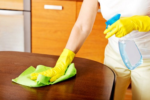 Fresh and clean living room after pet stain odour removal